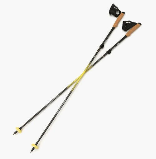 Running poles carbon z adjustable 38602_38603_main GREY