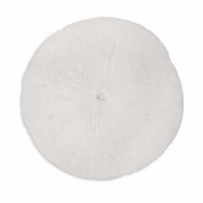 Sand Dollar