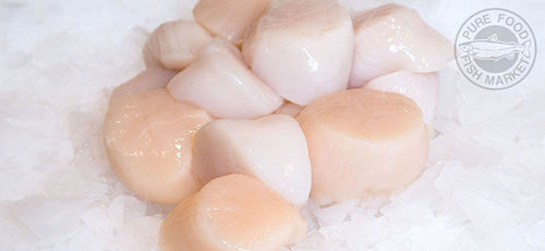 Scallops (Jumbo)