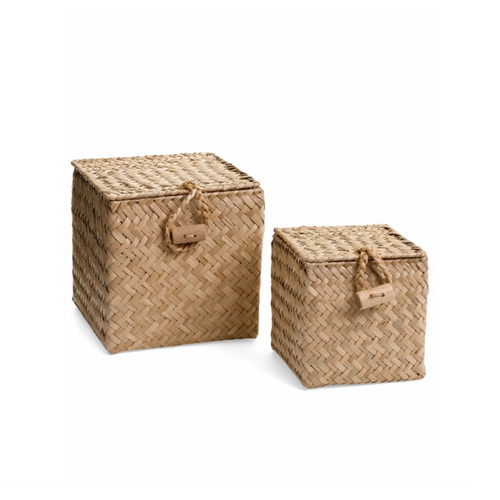 Seagrass Box Set