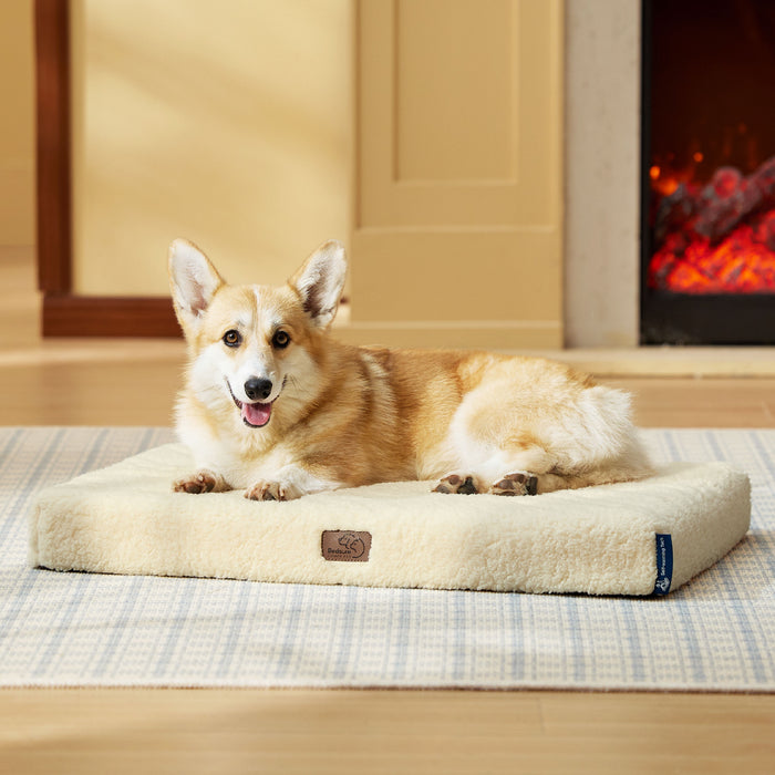 Self-Warming Egg Foam Pet Mat