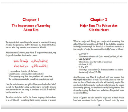 Sins The Poison of the Heart By Haifaa Younis Kube publishing