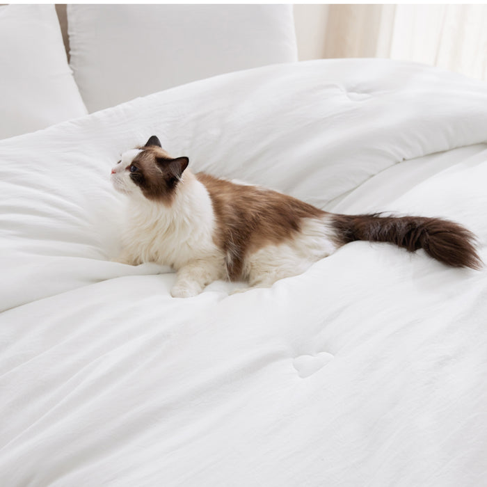 Textured Quilted Comforter Set