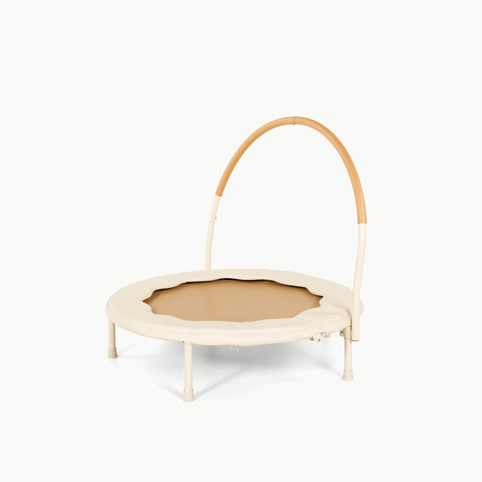 Ivory / Scallop