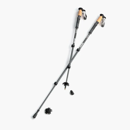 Trekking Poles Aluminum Cork Gray_38121_main persp GREY BG