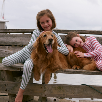 unisex boxwood ticking stripe pima pajamas set