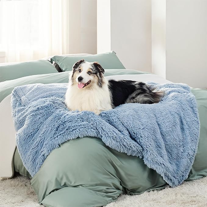 Blue fluffy waterproof pet blanket on bed with Australian Shepherd dog, showcasing comfort.