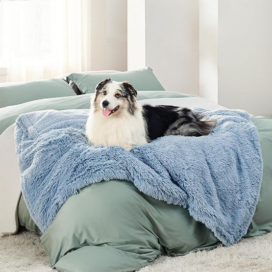 Blue fluffy waterproof pet blanket on bed with Australian Shepherd dog, showcasing comfort.
