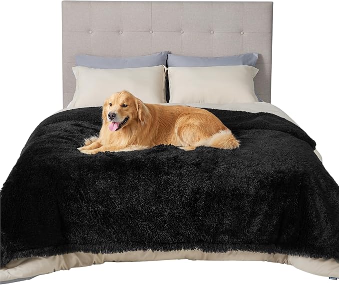 Black / XXL