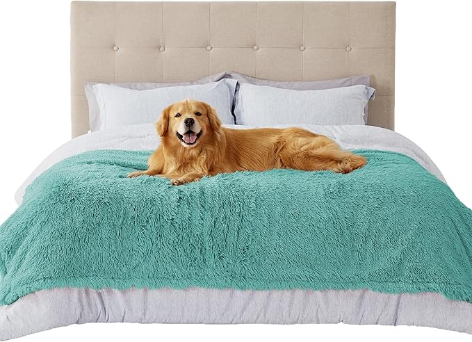 Light Green / XXL