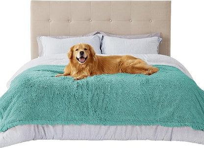 Light Green / XXL