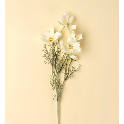 White Cosmos Spray