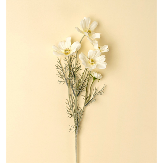 White Cosmos Spray