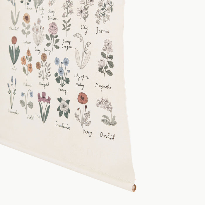 Fleurs