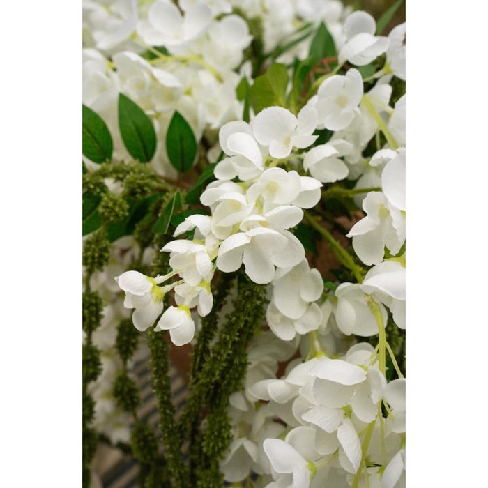 Wisteria Cascade in White